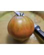 Tomato 'Anthony Bourdain' AKA ‘Anthony’s Passionate Heart’