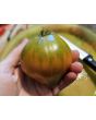 Tomato 'Anthony Bourdain' AKA ‘Anthony’s Passionate Heart’