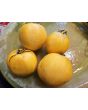 Tomato 'Yellow Fuzzy Boar' Seeds
