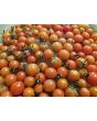 Tomato 'Flavor Bomb' Seeds
