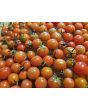 Tomato 'Flavor Bomb' Seeds
