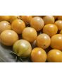 Tomato 'Yellow Zebra Cherry' Seeds