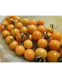 Tomato 'Small Gold Cherry Detroit' Seeds