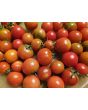 Tomato 'Small Red Cherry Detroit' Seeds
