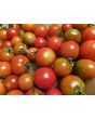 Tomato 'Small Red Cherry Detroit' Seeds