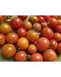 Tomato 'Small Red Cherry Detroit' Seeds
