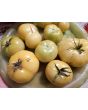 Tomato 'Thorburn's Lemon Blush' Seeds