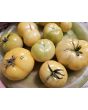 Tomato 'Thorburn's Lemon Blush' Seeds