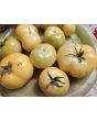 Tomato 'Thorburn's Lemon Blush' Seeds