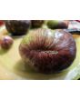 Tomato 'Rebel Starfighter Blane’s Moonlight' Seeds