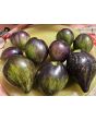 Tomato 'Rebel Starfighter VT16' Seeds