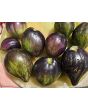 Tomato 'Rebel Starfighter VT16' Seeds
