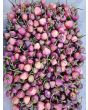 Hot Pepper ‘Purple UFO’ Seeds