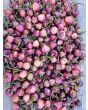 Hot Pepper ‘Purple UFO’ Seeds