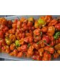 Sweet Pepper 'Arroz Con Pollo' Seeds