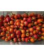 Hot Pepper 'Trepadeira Werner' Seeds