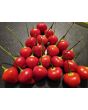 Hot Pepper 'Trepadeira Werner' Seeds