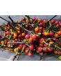 Hot Ornamental Pepper ‘Black Pearl' Seeds