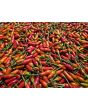 Hot Ornamental Pepper ‘Christmas' Seeds
