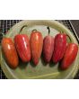 Hot Pepper 'Jalapeno Craig's Grande' Seeds
