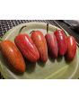 Hot Pepper 'Jalapeno Craig's Grande' Seeds