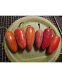 Hot Pepper 'Jalapeno Craig's Grande' Seeds
