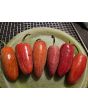 Hot Pepper 'Jalapeno Craig's Grande' Seeds