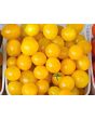 Tomato 'Blondkopfchen' 