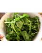 Arugula