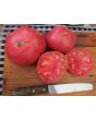 Tomato 'Aunt Ginny's Purple' 