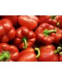 Sweet Pepper ‘Red Bell’ Seeds (Certified Organic)