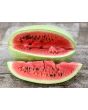 Watermelon 'Charleston Gray'