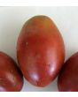 Tomato 'Darth Mater' 