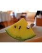 Watermelon 'Early Moonbeam'