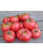 Tomato 'Caspian Pink'