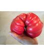 Tomato 'Tamara's San Marzano Pink Ruffled Strain' Seeds (Certified Organic)