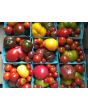 Tomato 'Tamara's Sweet Brown' Seeds (Certified Organic)