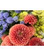 Dahlia 'Cornel Bronze' Tubers - Shipping 2025 Spring - Harvested on our Farm - USDA Certified Organic