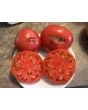 Tomato 'German Queen' 