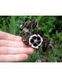Columbine Mix 