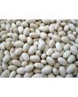 Snap Bean 'White Half Runner' 