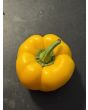 Sweet Pepper ‘Yellow Bell’ Seeds