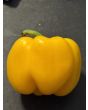 Sweet Pepper ‘Yellow Bell’ Seeds