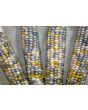Glass Gem Corn Seeds
