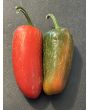 Sweet Pepper 'Nadapeño' Seeds