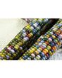 Glass Gem Corn Seeds