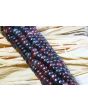 Glass Gem Corn Seeds