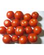Tomato 'Tomcat F2' Seeds (Certified Organic)