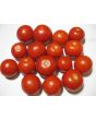 Tomato 'Tomcat F2' Seeds (Certified Organic)