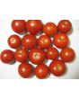 Tomato 'Tomcat F2' Seeds (Certified Organic)